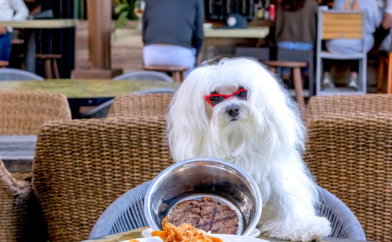 10 Best Restaurants to Dine With Your Dog in South Florida