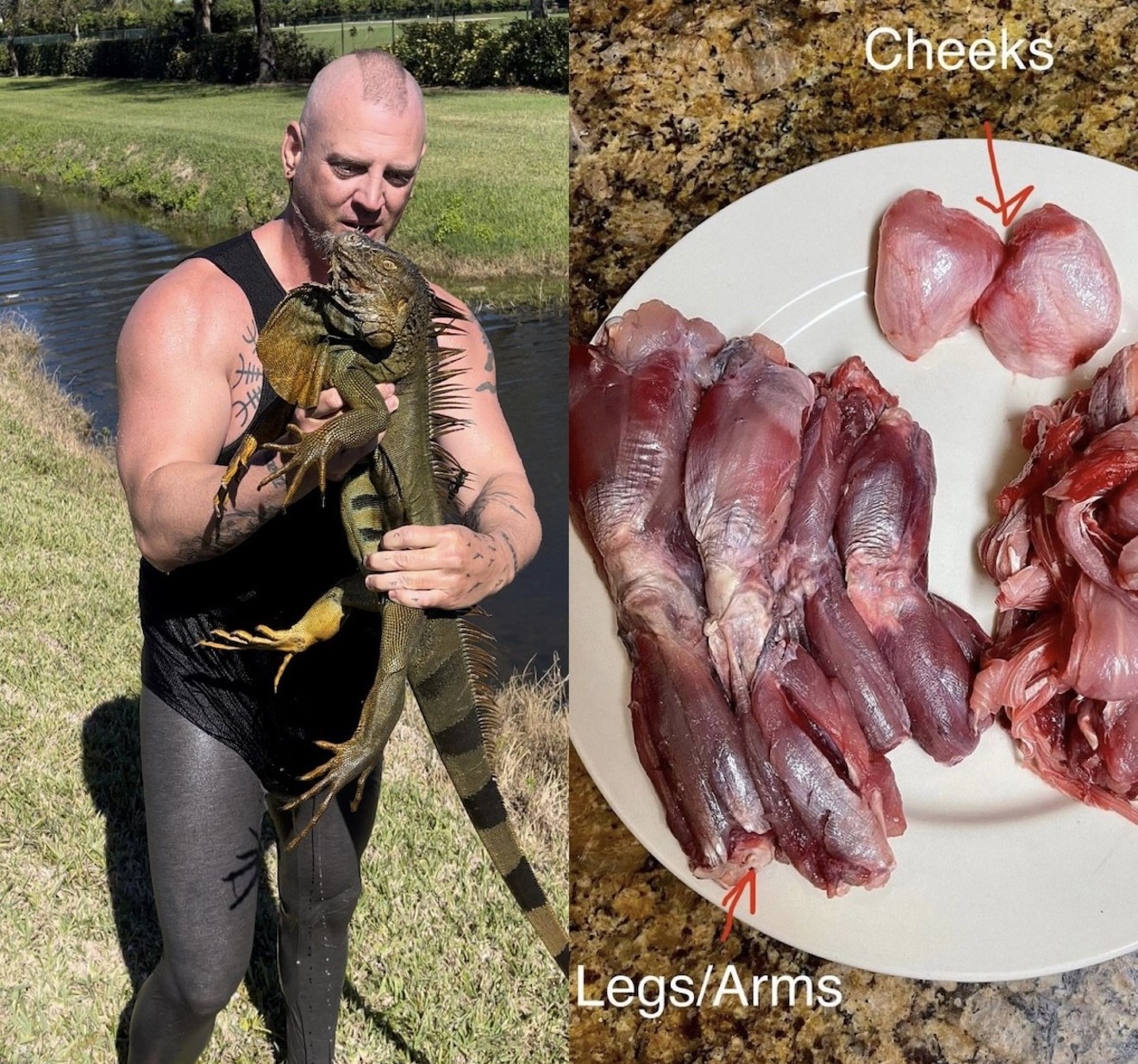 During the recent cold snap, South Florida native Ryan Ausburn caught more than a dozen iguanas to cook up in various preparations.
