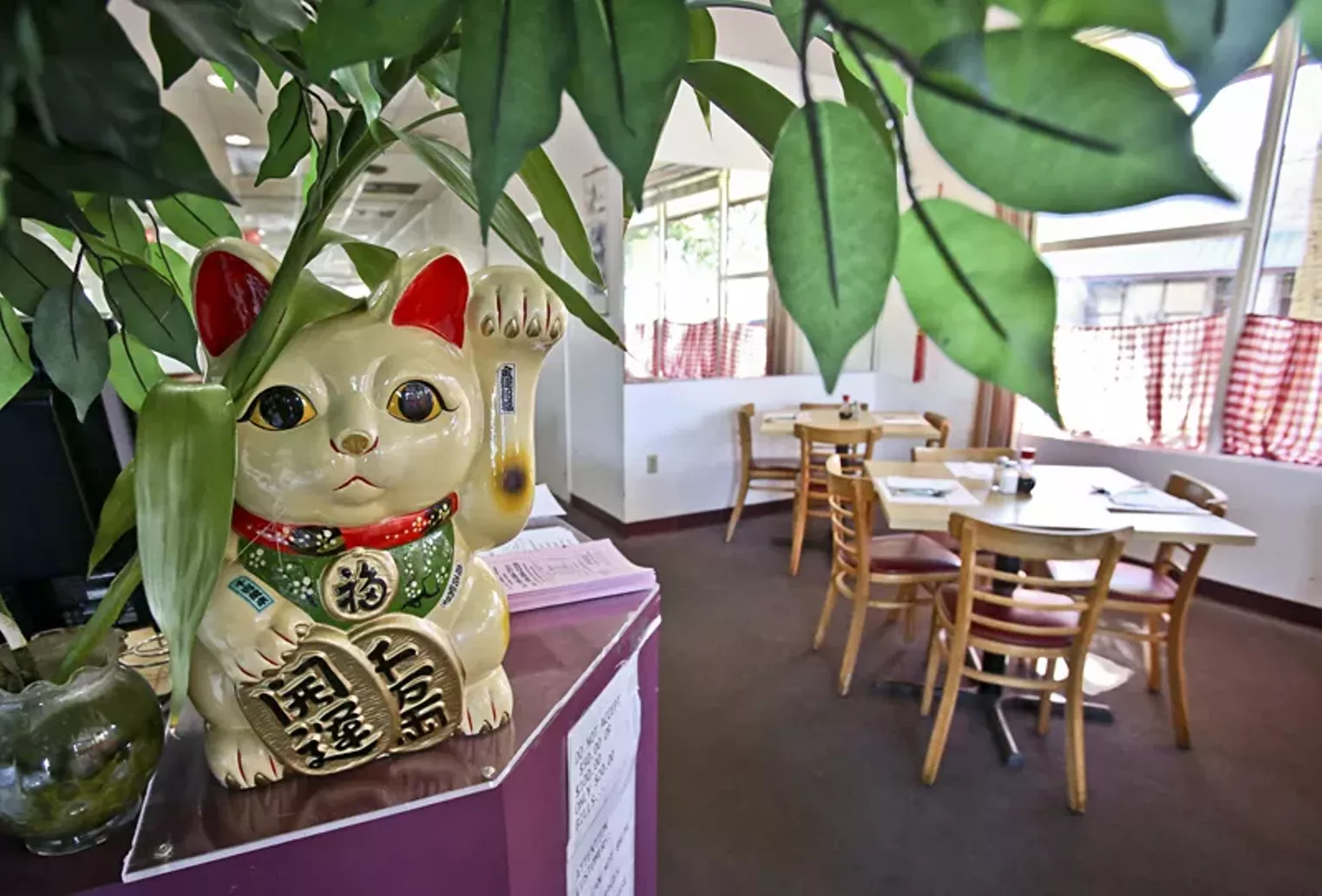 Closer Look Wings Chinese Restaurant in Davie South Florida