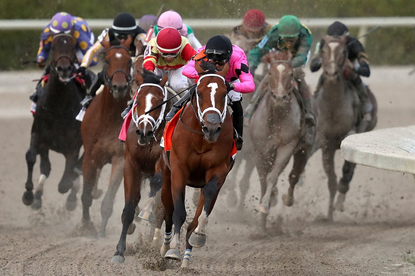 Gulfstream Park, one of the nation's premier thoroughbred race tracks, opened for its 2019-2020 championship meet today.