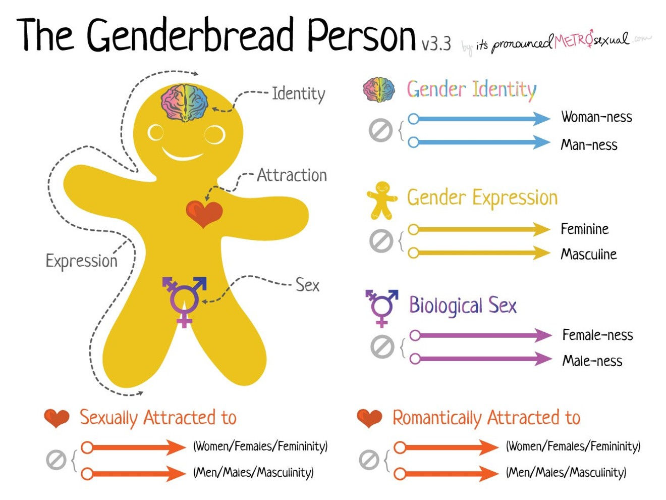 Diana Fedderman claims the Genderbread Person was unceremoniously yanked from a high school curriculum.