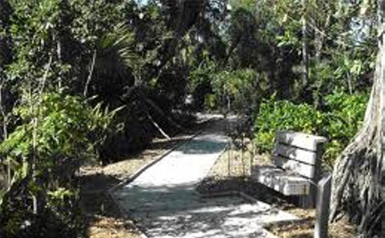 motivet mave hack Best Place to Confront Your Arachnophobia 2001 | Secret Woods Nature Center  | People & Places | South Florida