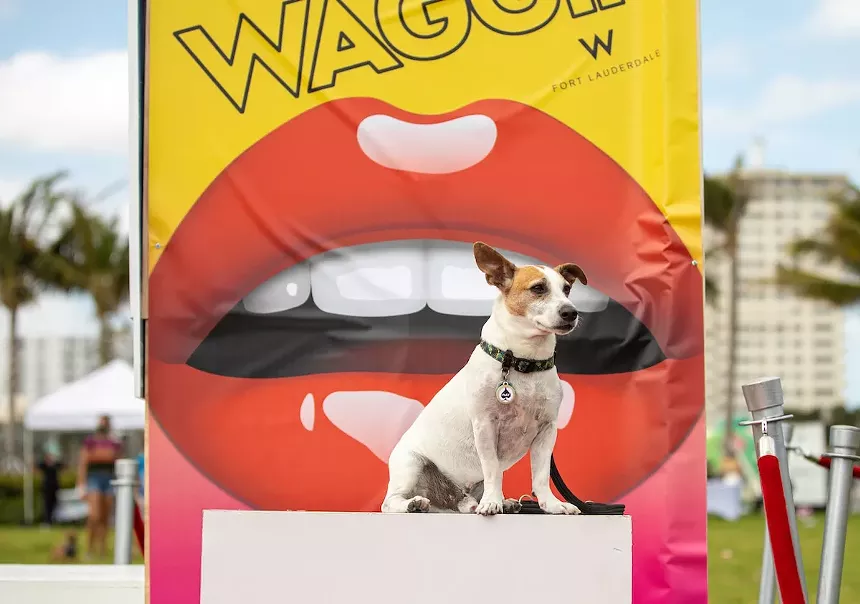 Pose with your pets at one of three photo "selfie" booths. - PHOTO BY LORENA CORA PET PHOTOGRAPHY