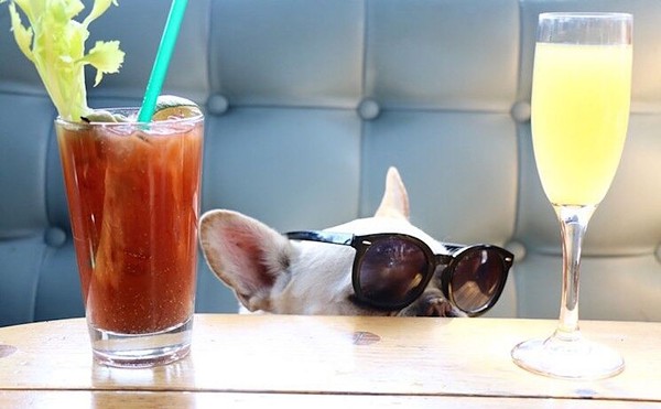 The Eight Best Dog-Friendly Brunches in South Florida