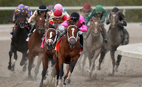 Gulfstream's Horse Death Toll at 34 as Championship Meet Opens