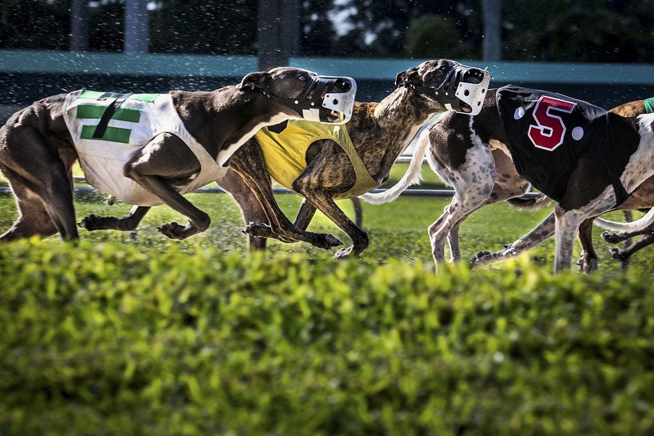 Dogs still race at Palm Beach Kennel Club, but not for long. A ban on dog racing in Florida is set to kick in at the end of 2020.