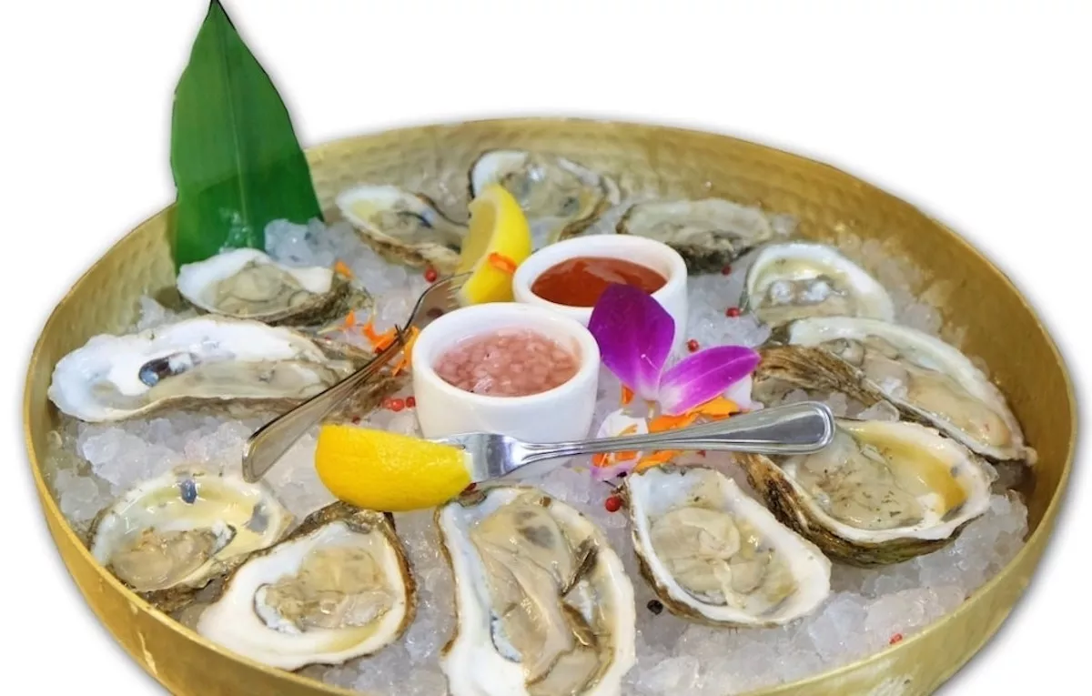Where to Find Oysters in Miami and Fort Lauderdale New Times Broward