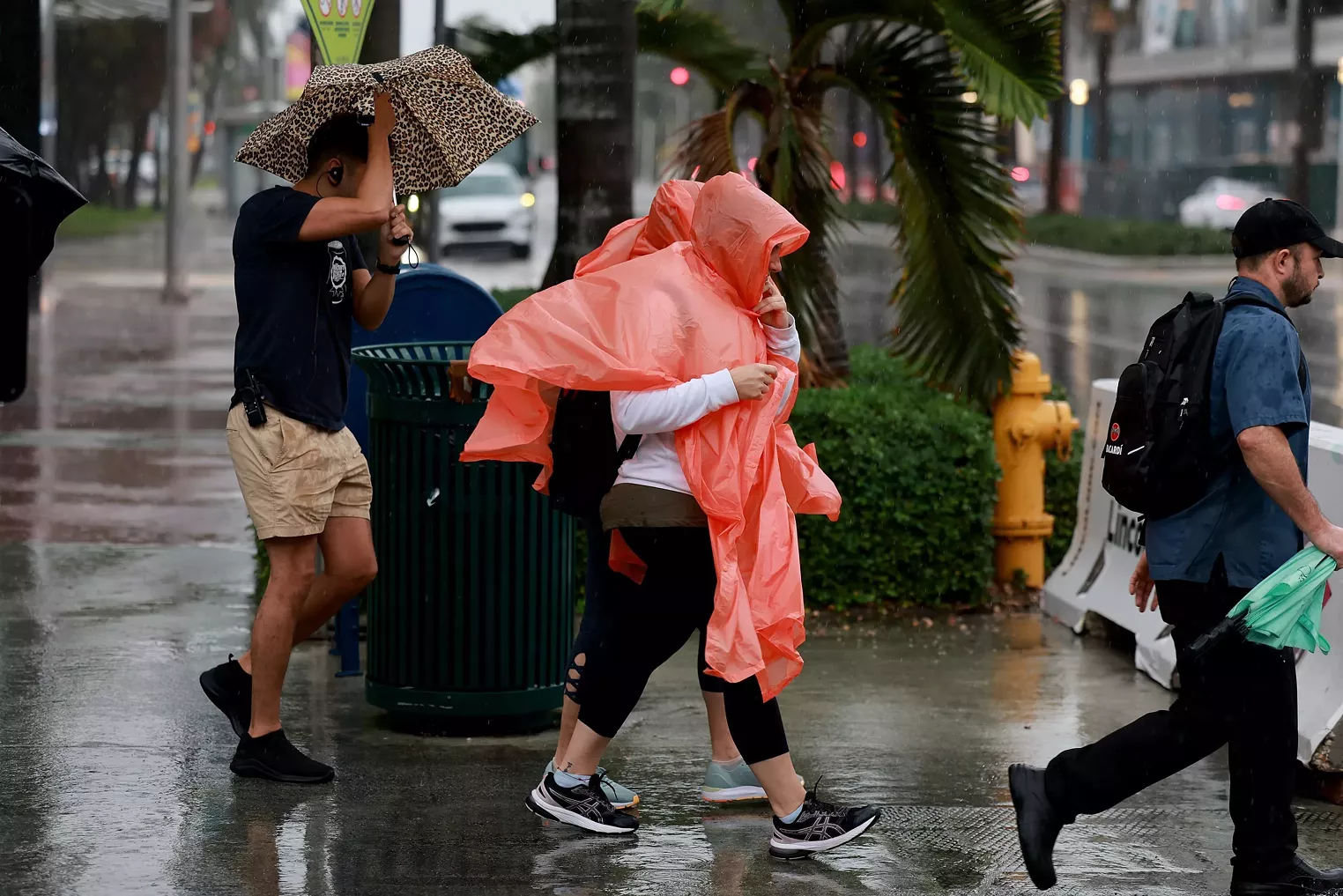 FPL Works to Restore Florida Residents' Power After Storm | New Times Broward-Palm Beach - Vimarsana News
